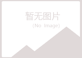 鹿泉夏日会计有限公司